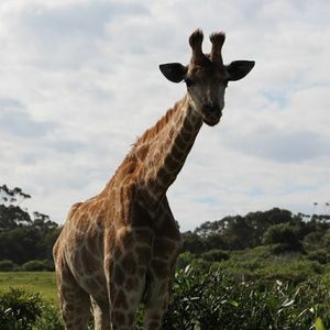 Meet your Posher, Joanne